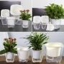Self-watering pot for flowers and plants - small