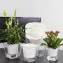 Self-watering pot for flowers and plants - small