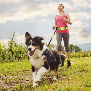 Smycz z pasem biodrowym do biegania z psem — żółta
