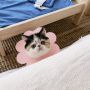 Soft sat treatment collar - pink, size M