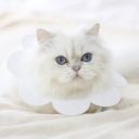 Soft sat treatment collar - white, size L