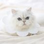 Soft sat treatment collar - white, size L