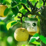 Solar insect trap - orange