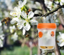 Solar insect trap - orange
