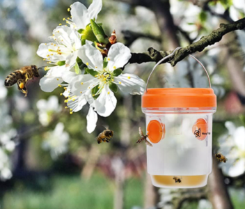 Solar insect trap - orange