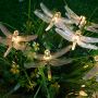 Solar LED decorative lamps in the shape of a dragonfly - warm color