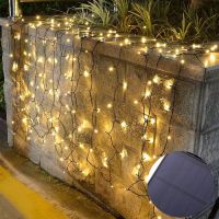 Solar LED decorative lamps with remote control - warm color