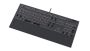 SPC Gear GK650K Omnis Kailh Brown RGB Pudding Edition Gaming Keyboard (SPG119)
