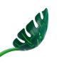 Spoon for salad, pasta