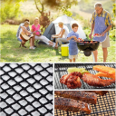 Teflon mesh / grill mat