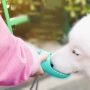 Tourist bottle for a dog, 550 ml - pink