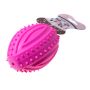 Toy rubber ball dog cat teether