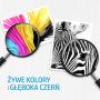 Tusz HP zestaw HP 300+HP 300, HP300+HP300=CN637EE, zawiera czarny i kolor, CC640EE+CC643EE