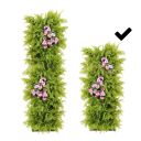 Wall planting bag - a small plant
