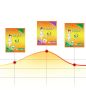 Warming plasters 10pcs - Mothewort