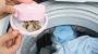 Washing machine hair removal / collection net - blue
