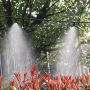 Water curtain set for watering plants - 5 m 10 nozzles