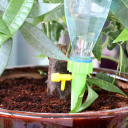 Watering the flowers and plants watering the pots - green