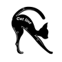 Wielofunkcyjny szablon do malowania oczu (2szt) Cat Eye Card