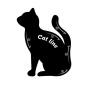 Wielofunkcyjny szablon do malowania oczu (2szt) Cat Eye Card
