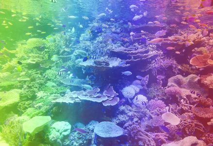 Wooden Puzzle with Figurines - Coral Reef M 200 pieces