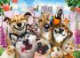 Wooden Puzzle with Figurines - Crazy Animals