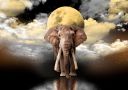 Wooden Puzzle with Figurines - Elephant and Moon M 150 pieces