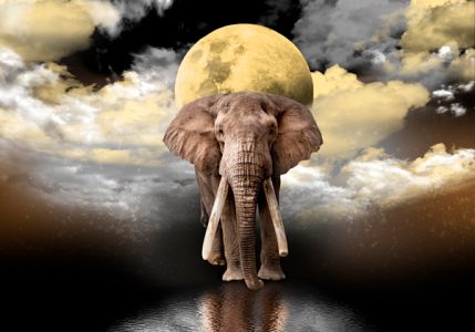 Wooden Puzzle with Figurines - Elephant and Moon M 150 pieces