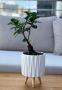 Wooden stand for a 9 cm pot or cover