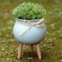 Wooden stand for a 9 cm pot or cover