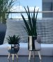 Wooden stand for a 9 cm pot or cover