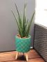 Wooden stand for a 9 cm pot or cover