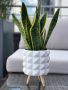 Wooden stand for a 9 cm pot or cover