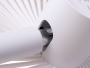 Xiaomi SOLOVE Desktop Fan - white