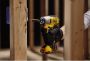 Zakrętarka udarowa bez aku 12V 163Nm DCF801N DEWALT