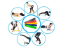 Zestaw 5szt gum do ćwiczeń fitness